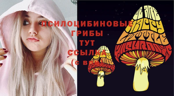 твердый Покров